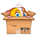 📦