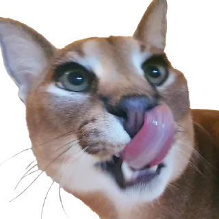 😛