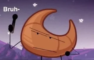🌟