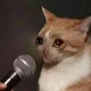 😢