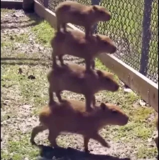 🙃