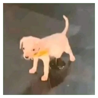 👹