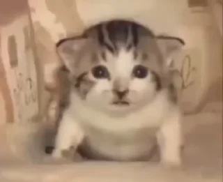 🤯