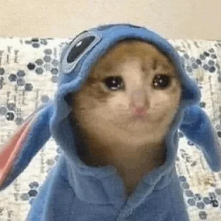 🥺