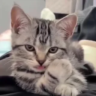 😉