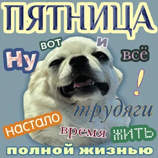 5️⃣