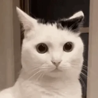 ❌