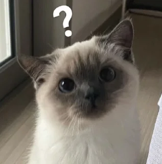 ❔