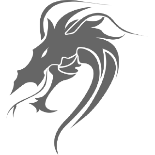 🐲