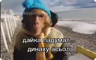 🌟