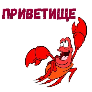 🤚