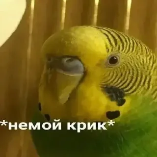 🗣