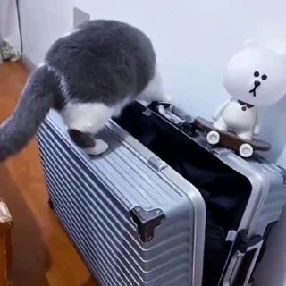 🤩