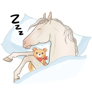 😴