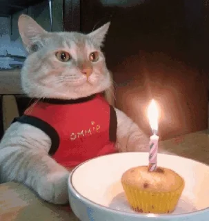 🎂