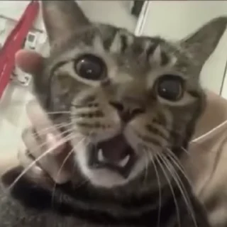 😳