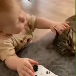 😋
