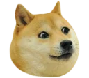 🐶