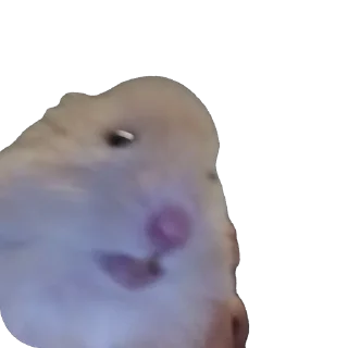 🫥