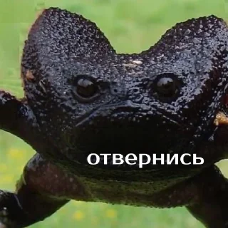 😡