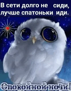 🦉