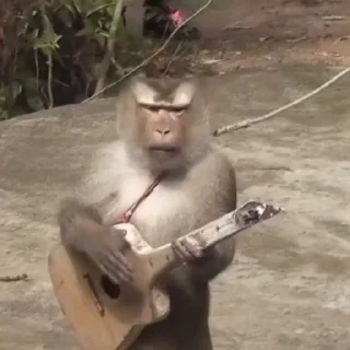 🎸