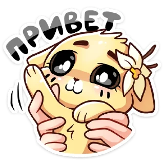 👋