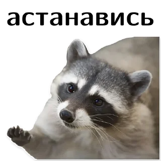⛔️