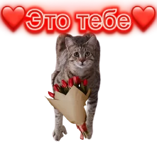 😍