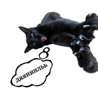 🫨