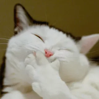 🤨