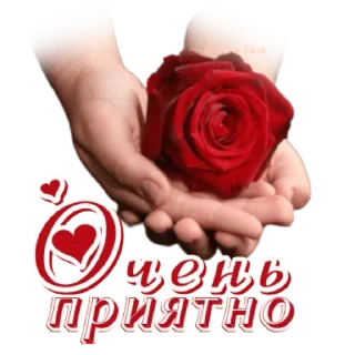 👍