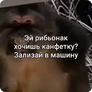 🌟