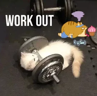 🏋