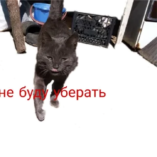 😡