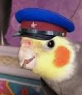 👮‍♂️