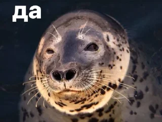 👍