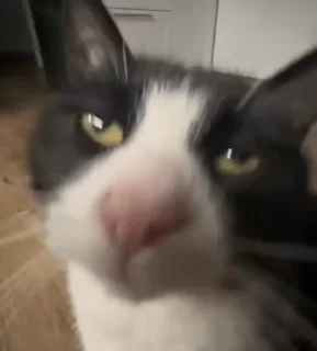 😐