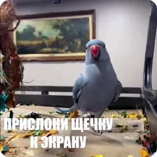 🥰