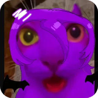 🐱