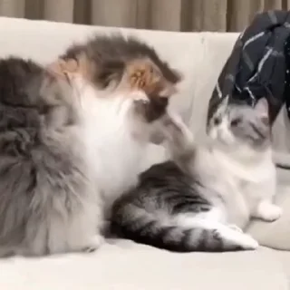 👊