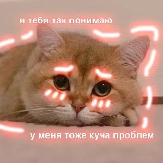 🥺