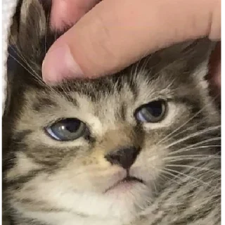 😒