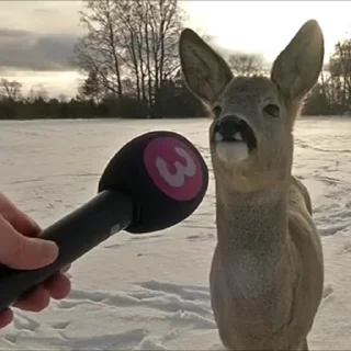 🎤