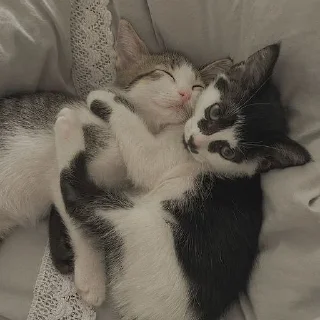 ❤️