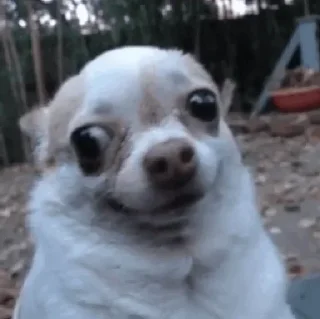 😕