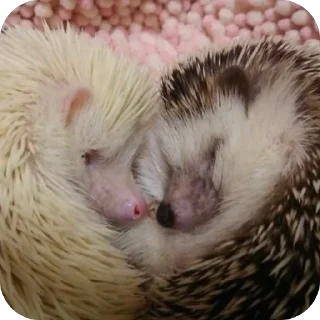 ❤