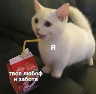 🥤