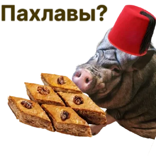 🍪
