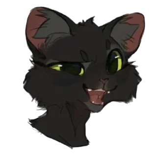 🐱